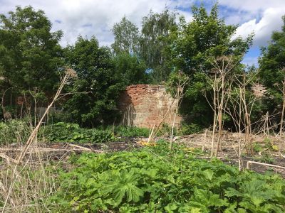 Нижняя виноградная оранжерея