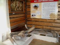 Краеведческий музей им. Н. Игнатьева