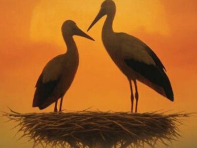 Рассказы о любви