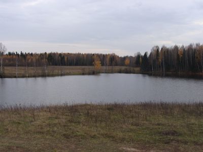Священная роща