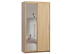 Шкаф-купе Тебар 2-120x230 Дуб Барбера 1 зеркало