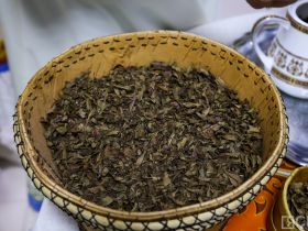 «Вкус хомуса»: в Якутске прошел необычный гастро-культурный вечер