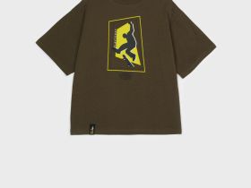 Фуфайка трикотажная для мальчиков (футболка)