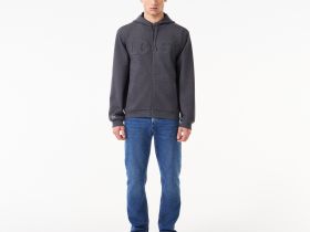Мужская хлопковая толстовка Lacoste FW24