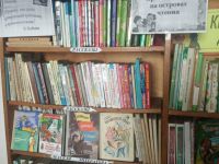 Васильевская сельская библиотека