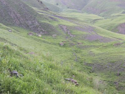 Мавзолей (пир) Али Дамурада-покровителя