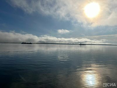 В Якутии начали искусственно воспроизводить нельму и муксуна