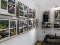 Городской выставочный центр им. В. С. Рогаля