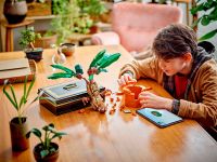 Harry Potter 76433 Конструктор Мандрагора