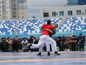 Стали известны победители соревнований по мас-рестлингу и борьбе корэш на Сабантуе