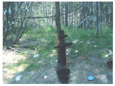 Священная роща