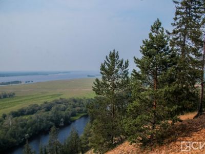 Куда обращаться якутянам, чтобы сообщить о незаконной рубке леса и загрязнениях