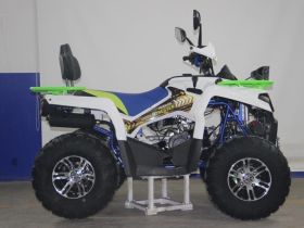 Квадроцикл AVANTIS Forester 200