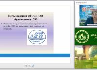 Разработка адаптированной образовательной программы для детей и обучающихся с умственной отсталостью