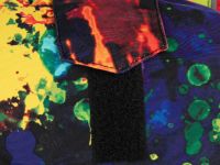 Зимний комбинезон из мембранной ткани для мальчика