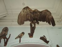 Кологривский краеведческий музей