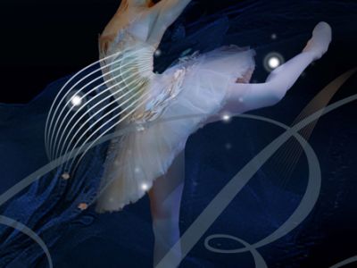 «Новогодний вечер балета при свечах»