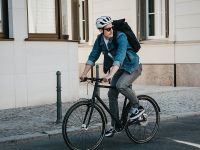 Электровелосипед Fixie Inc . Backspin Zehus, год 2024, цвет Черный