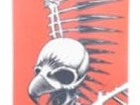 Сноуборд K2 PARTY PLATTER X TONY HAWK X BIRDHOUSE 21/22