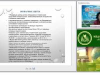 Система противопожарной защиты: общие сведения