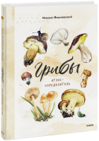 Грибы