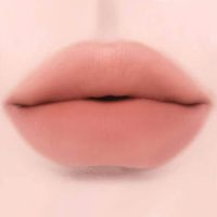 Жидкая матовая помада для губ Dinto Madame Butterfly Blurring Lip Veil 108 Dolce