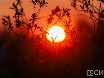 Пока в Якутии была ночь: отключение сервиса Google, подорожание спирта и нападение гризли