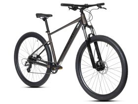 Горный велосипед Benort Vector 29, год 2026, цвет Серый, ростовка 19