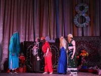 Черемисиновский районный дом культуры