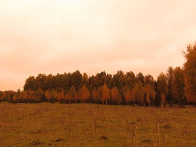 Священная роща