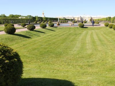 Верхний сад