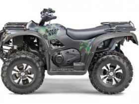 Квадроцикл STELS ATV 600 Y Leopard (ПСМ)