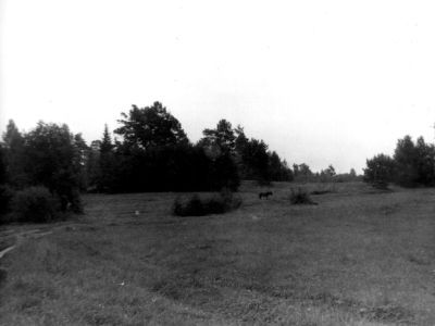 Усадьба "Федяевщина". Парк