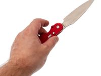 Складной нож Dagger Parrot SW, сталь VG-10, рукоять G10, красный