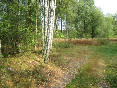 Памятное место, где в 1942 г. был организован партизанский отряд «За Родину»