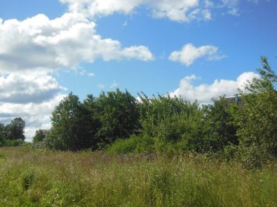 Усадьба Ермоловых. Парк