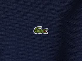 Женская толстовка Lacoste
