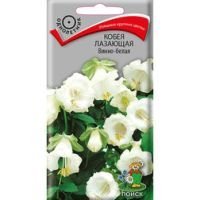 Кобея лазающая Винно-белая