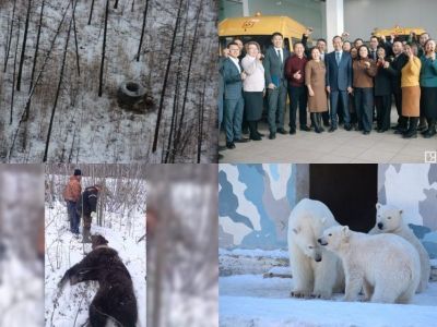 Обзор интересных и популярных новостей в Якутии за 7 ноября