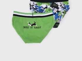 Трусы трикотажные для мальчиков - брифы, 2 шт в комплекте