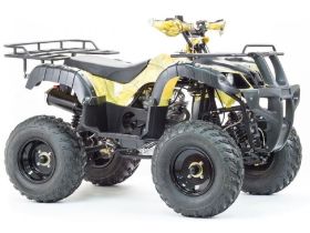 Квадроцикл STALKER 250