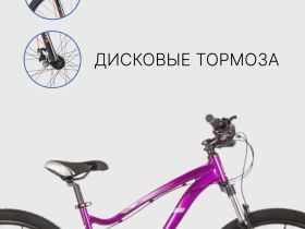 Женский велосипед Stinger Vega Evo 29, год 2021, цвет Фиолетовый, ростовка 19