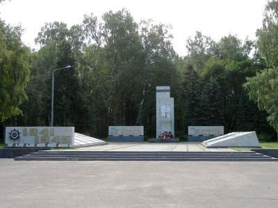 Братские могилы на воинском кладбище и могила Долматова Д.И.