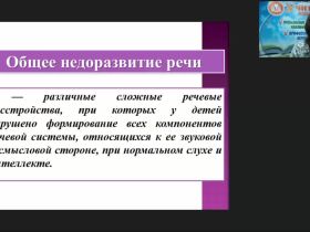 Вебинар "Логопедагогика: теоретические основы сформированности языковых средств общения у детей с общим недоразвитием речи"