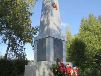 Братская могила воинов, умерших от тяжелого ранения (260 чел.) во время Отечественной войны 1941-1945 г.г.
