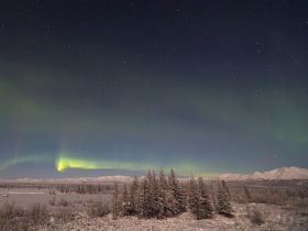«Discovery of Arctic Yakutia»