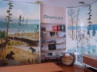 Центральная межпоселенческая модельная библиотека Новичихинского района