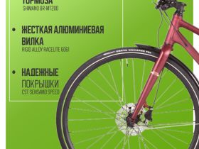 Женский велосипед Atom Symbiotic Speed Lady, год 2024, цвет Красный, ростовка 15.5