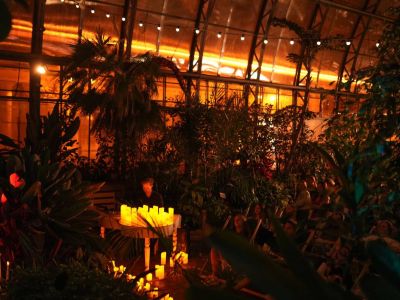 Билеты на Магия свечей. Новогодние саундтреки: Гарри Поттер, Один дома и не только (Оранжерея Таврического сада) / Концерт | Афиша | ИнфоТаймс