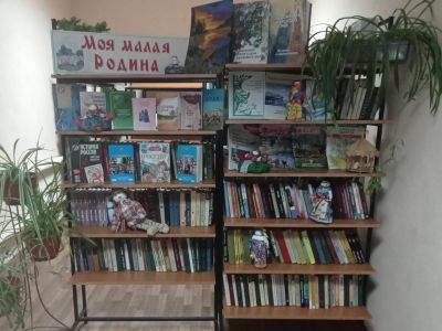 Пушкарская модельная сельская библиотека